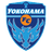 Йокогама ФК